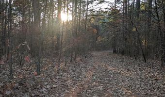 0 Water Tower Rd, Atkins, AR 72823