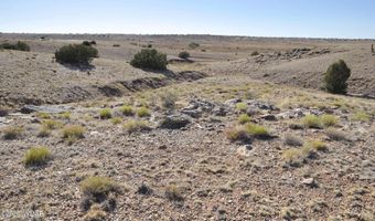 986 Concho Hwy, Concho, AZ 85924