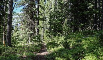 Beehive Basin Road, Big Sky, MT 59716