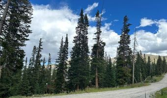 355 QUANDARY VIEW Dr, Breckenridge, CO 80424