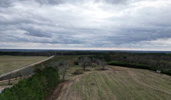 County Road 91, Banks, AL 36005