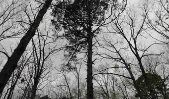 Long Branch Lane, Bee Branch, AR 72013