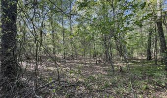 John Branch Road, Batesville, MS 38606