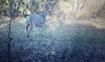 0 Thomas Rd, Altoona, KS 66710