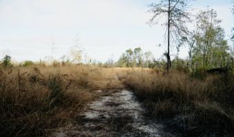 US Hwy 98, Beaumont, MS 39423