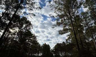 644 Ash-Harrel Loop, Abbeville, GA 31001