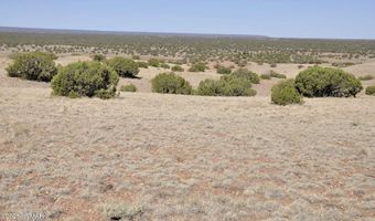 14 CR 5525, Concho, AZ 85924