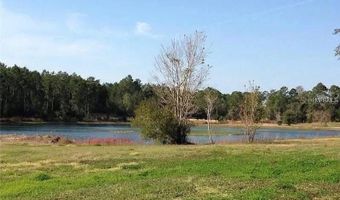54523 ASTOR TRANSFER STATION Rd, Astor, FL 32102