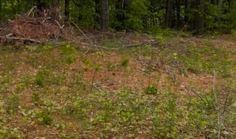 4422 Bennoch Rd, Acton, ME 04468