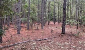 3096 Boise Cascade Rd, Kershaw, SC 29067