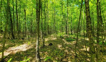310 Sky Farm Ln, Barnet, VT 05821