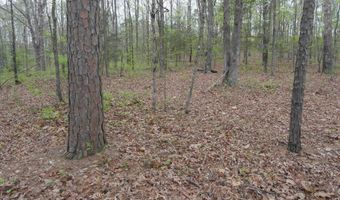 Long Branch Lane, Bee Branch, AR 72013
