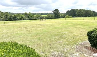 18880 Leon Wiggins Rd, Andalusia, AL 36420