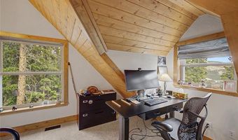 62 Lazy Rex Rd, Alma, CO 80440