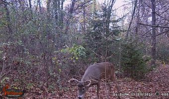 8752 HWY A, Almond, WI 54909