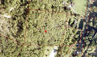 99999 Paint Fork Rd, Barnardsville, NC 28709