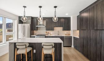 85 Kodiak Dr 304, Basalt, CO 81621