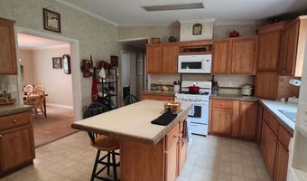 786 Blackberry Rd, Baconton, GA 31716