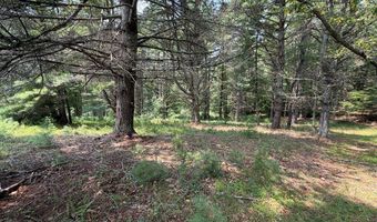 Hall Hollow Road, Austinville, VA 24312