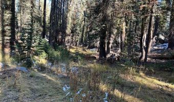 550 Cabbage Patch Log Rd, South Lake Tahoe, CA 95223