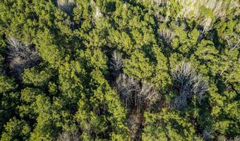 2870 County Road 2604, Alto, TX 75925