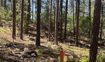 216 Fawn Dr, Bayfield, CO 81122