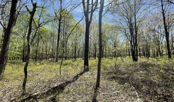 Forest Hill Drive, Blakeslee, PA 18610