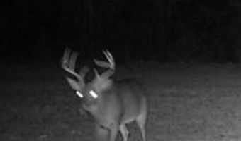 AL HWY 223, Banks, AL 36005