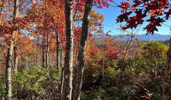Musket Dr lot 66, Almond, NC 28702