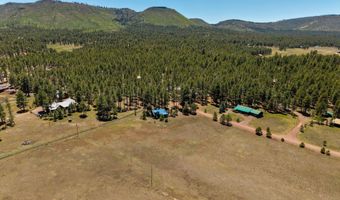 16 County Road 2089, Alpine, AZ 85920