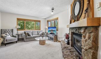 290 Broken Lance Dr B101, Breckenridge, CO 80424