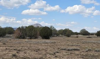 64 Antelope Run, Ash Fork, AZ 86320