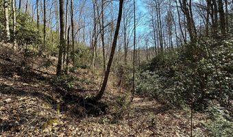 Lot 7 Valley View Heights Lane, Andrews, NC 28901