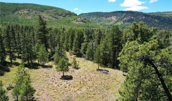 105 Quail Rdg, Antonito, CO 81120
