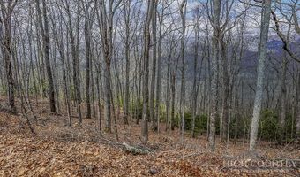 TBD Lot # 46 Woodlily Drive, Banner Elk, NC 28604