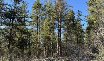 Badger Lane, Bonanza, OR 97623