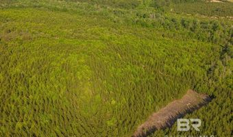Flowers Road, Bay Minette, AL 36507