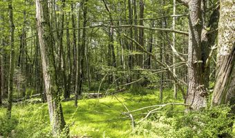 154 Lang Rd, Accord, NY 12404