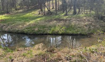 Old Courthouse Road, Appomattox, VA 24522