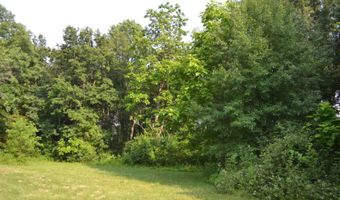 County Road 550 E, Albion, IL 62806