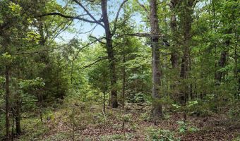 17585 Co Rd #Af-304, Ava, MO 65608