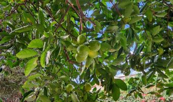 37 Meadowbrook, Aliso Viejo, CA 92656