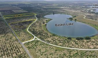 1115 Basket Lake Rd, Avon Park, FL 33825
