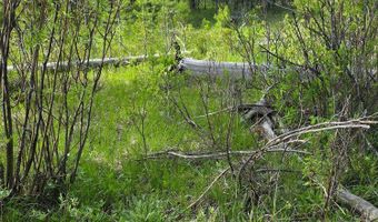 Anderson Tracts Road, Anaconda, MT 59711
