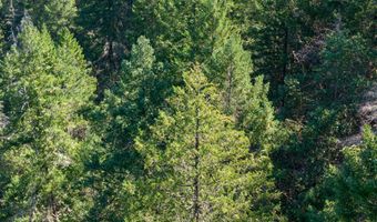 0 Humbug Cr Rd, Applegate, OR 97530