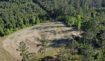 1139 W CR 19, Ariton, AL 36311