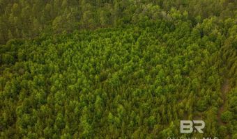 Flowers Road, Bay Minette, AL 36507