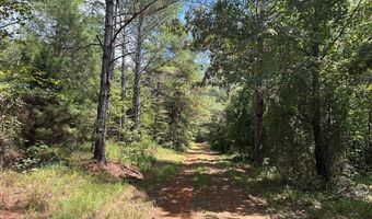 Pleasant Hill Road, Ashland, MS 38603