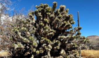 2100 Buckhorn Rd, Alamo, NV 89025