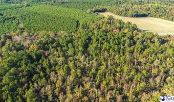 TBD I M Graham Rd, Cades, SC 29518